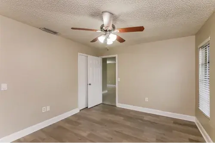 Vista 5