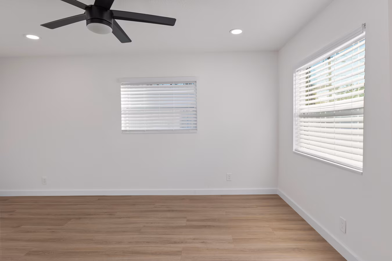 Vista 6