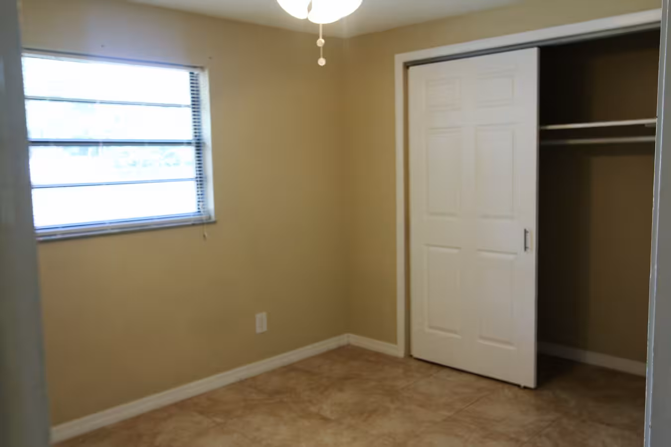 Vista 6
