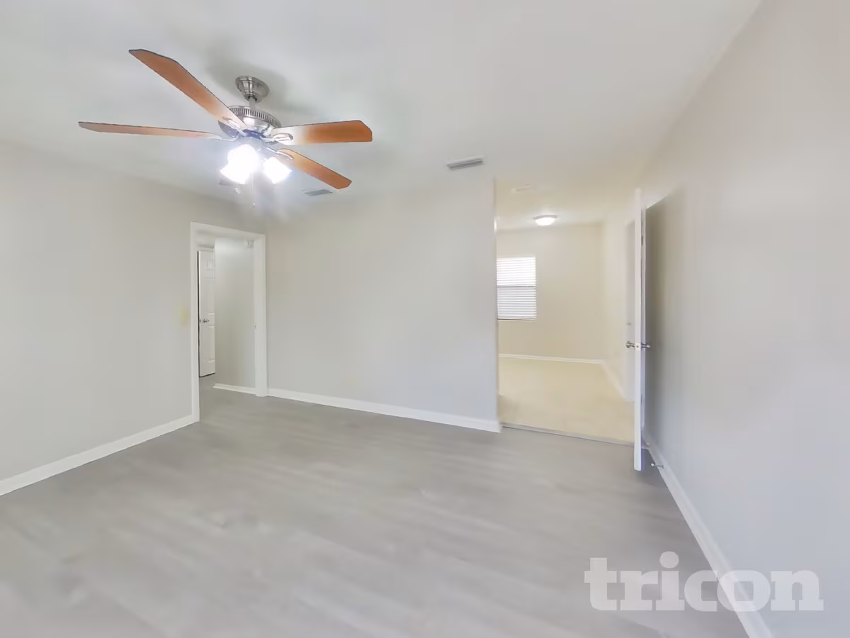 Vista 2
