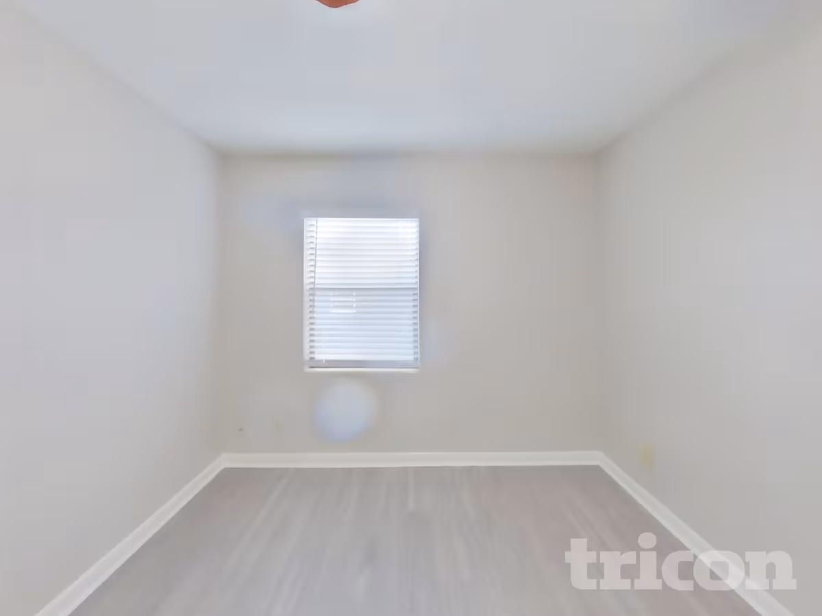 Vista 5