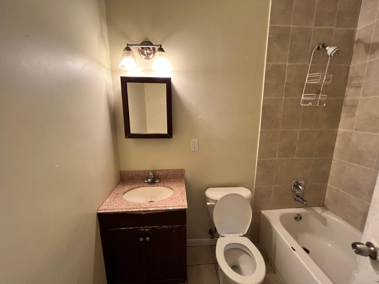 Vista 6