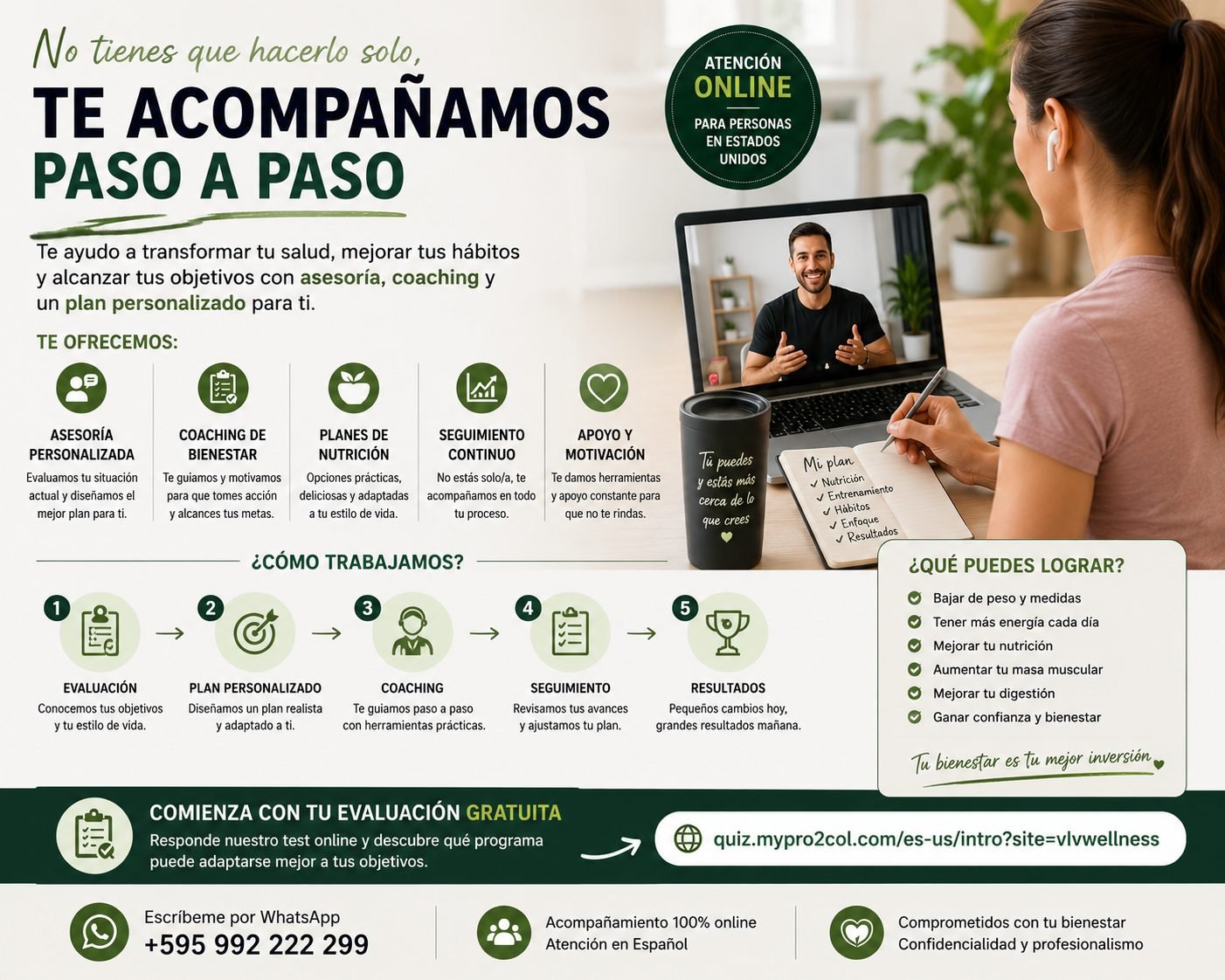 Vista 3